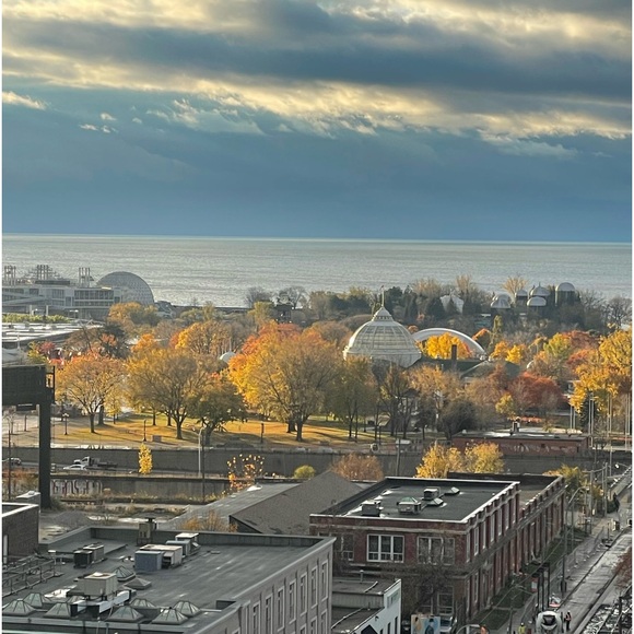 Meet your Posher, Dot. - Picture 13 of 16